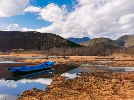 Winning Casino Mobiele App